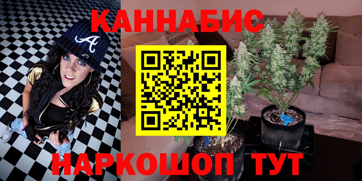 МАРИХУАНА сатива Дербент